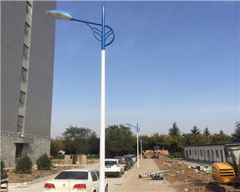 湖北市電路燈-湖北省西安市西北大學長安校區路燈工程