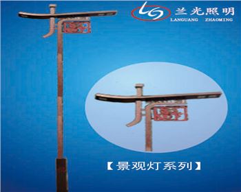 陜西雙頭市電景觀燈