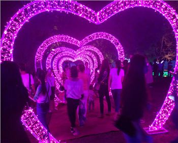 湖北燈光節(jié)-節(jié)日亮化